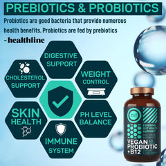 Dispensing cap close-up showing simple daily probiotic routine