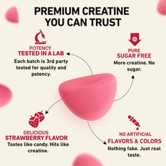 WILD GAINZ Creatine Gummies label details highlighting potency and ingredients