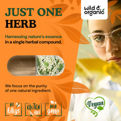 Wild & Organic Black Cohosh root powder closeup highlights high-potency herbal ingredient