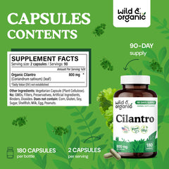 Person holding Wild and Organic cilantro capsules for daily antioxidant routine.