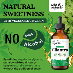 Wild and Organic cilantro tincture bottle on kitchen counter