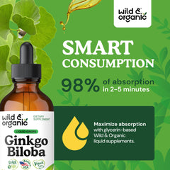 Wild & Organic Ginkgo Biloba tincture in amber bottle on a clean counter