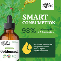 Front label of Wild & Organic Goldenseal tincture communicates vegan, alcohol-free ingredients.