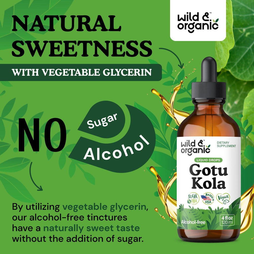 Bottle beside fresh gotu kola leaves, underscoring plant-based formulation