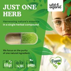 Wild & Organic horsetail capsules filling, emphasizing plant based, filler free formula.