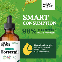 Wild & Organic Horsetail Tincture pour into a glass illustrating easy two-dose routine.