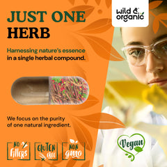 Wild & Organic sarsaparilla capsules with vegan coating demonstrating easy-to-take design.
