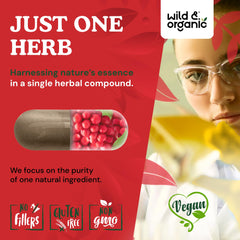 Wild & Organic Schisandra bottle back label displaying allergen-free, non-GMO details