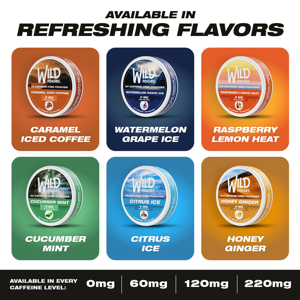 Wild Pouches caramel coffee value pack on shelf, economical choice for fans.