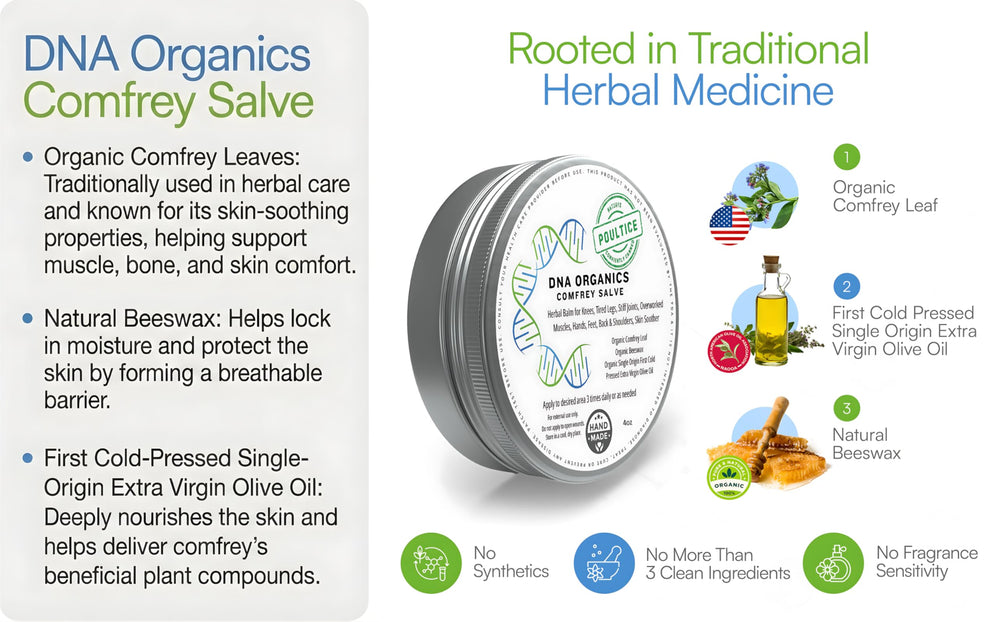 Wild Castle DNA Organics Comfrey Salve 2oz jar back with ingredient notes.