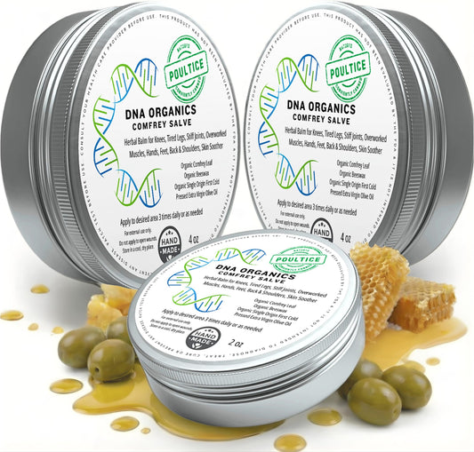 Wild Castle DNA Organics Comfrey Salve 4oz jar front view, soothing skin.