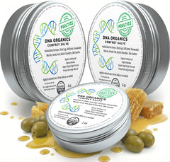 Wild Castle DNA Organics Comfrey Salve 4oz jar front view, soothing skin.