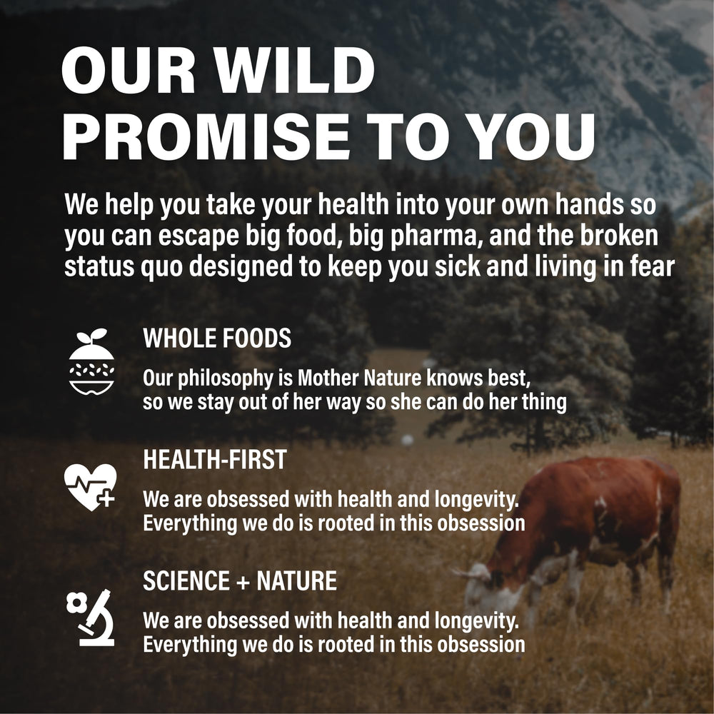 Wild Foods keto and paleo friendly packaging communicates ancestral nutrition.