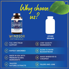 Windsor Botanicals aronia berry extract with antioxidants for cholesterol health.