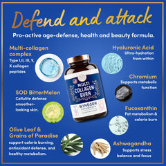 Packaging box highlights marine collagen and five collagen types.
