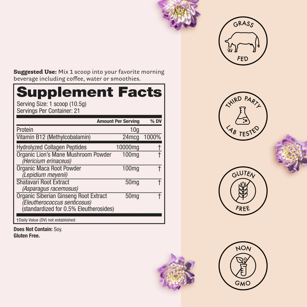 Ingredients graphic showing grass-fed collagen peptides and Lion's Mane for cognitive support
