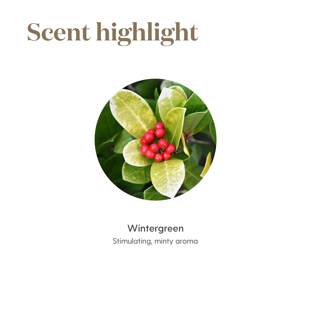 Close-up of packaging for Wintergreen essential oil