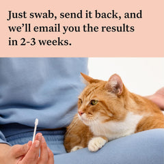 Wisdom Panel health-traits report highlighting health and appearance insights.