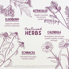 WishGarden Daily Immune for Kids elderberry image, natural immune support ingredients.