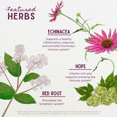 WishGarden Echinacea Goldenseal herbs closeup emphasizes traditional botanicals for daily use.
