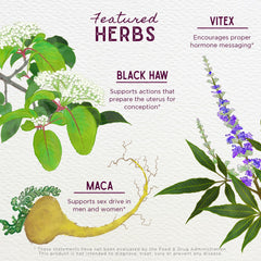 WishGarden Fertility Prep herbal blend featuring Vitex Raspberry Leaf and Red Maca