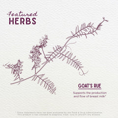 Amber bottle protects sensitive Goats Rue tincture ingredients.