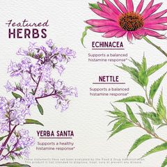 WishGarden Kick-Ass Allergy yerba santa leaf detail