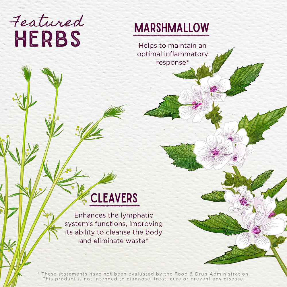 WishGarden Kidney Strength ingredients featuring Buchu leaf and Cornsilk for natural cleansing.