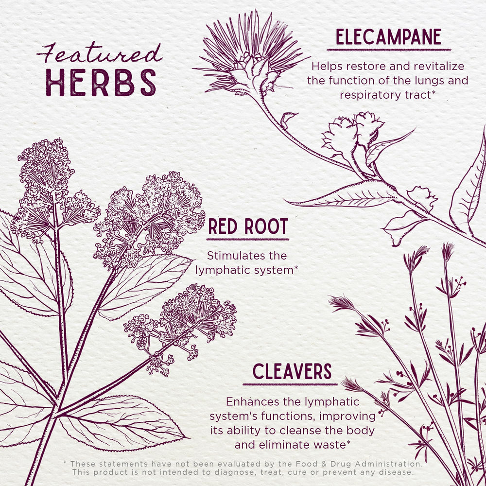 Elecampane root pictured as a key ingredient in Respiratory Strength.