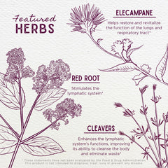 Elecampane root pictured as a key ingredient in Respiratory Strength.