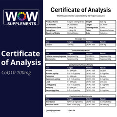 WOW Supplements CoQ10 daily use scene showing lifestyle integration