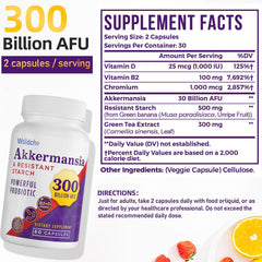 Wsidche Akkermansia capsules closeup for daily probiotic intake