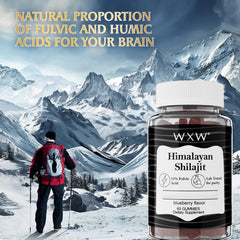 WXW Pure Himalayan Shilajit Gummies packaging showing minerals and no sugar