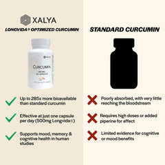 Xalya Longvida Curcumin bottle cap viewed up close for daily intake.