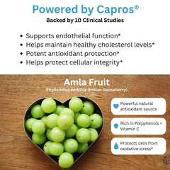 Senactiv polyphenol complex capsules ready for daily intake
