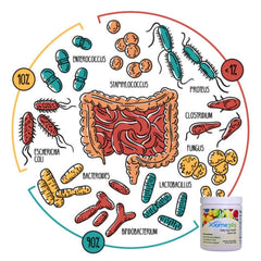 Xooma Xiome365 travel pack offers on-the-go gut support.