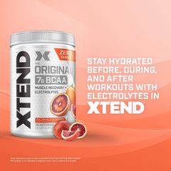 Xtend post-workout recovery kit with scoop and shaker for daily recovery.