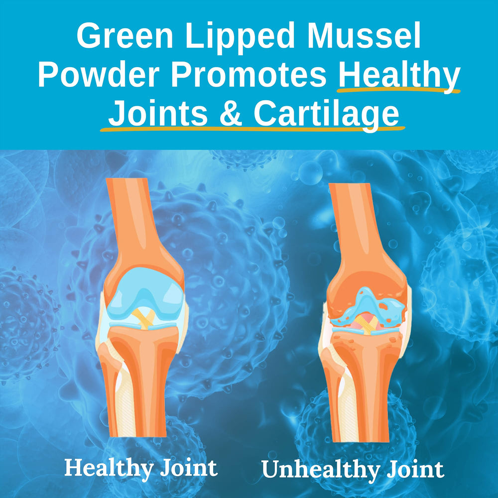 Xtendlife Green Lipped Mussel Powder ingredients list close-up.