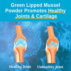 Xtendlife Green Lipped Mussel Powder ingredients list close-up.