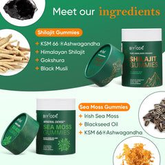 Xuore Sea Moss Gummies close-up emphasizing minerals and vibrant texture
