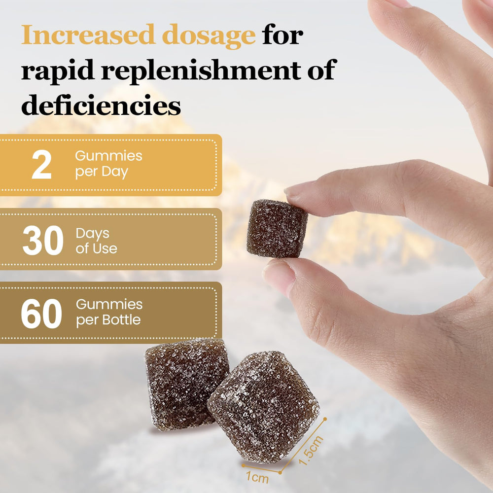Label detailing Himalayan shilajit and herbal ingredients in Yldegt Gummies