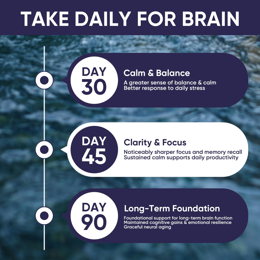 90 capsules per bottle designed for convenient long-term wellness routines.