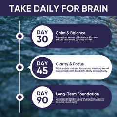 90 capsules per bottle designed for convenient long-term wellness routines.