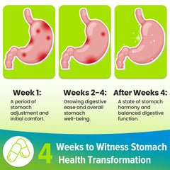 Yoghuaty H. Pylori Defense green tea extract visual suggests antioxidant support