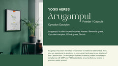 YOGIS HERBS Arugampul powder jar highlights pure Bermuda grass for daily nourishment.