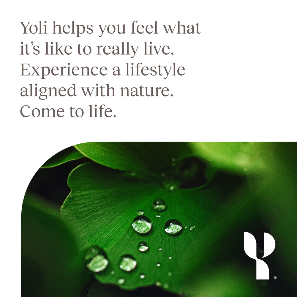 Yoli Enzyme brand logo conveys trust in natural digestive support.