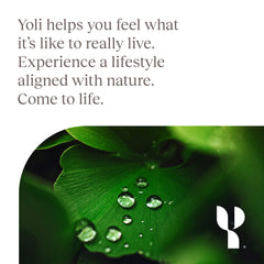 Yoli Enzyme brand logo conveys trust in natural digestive support.