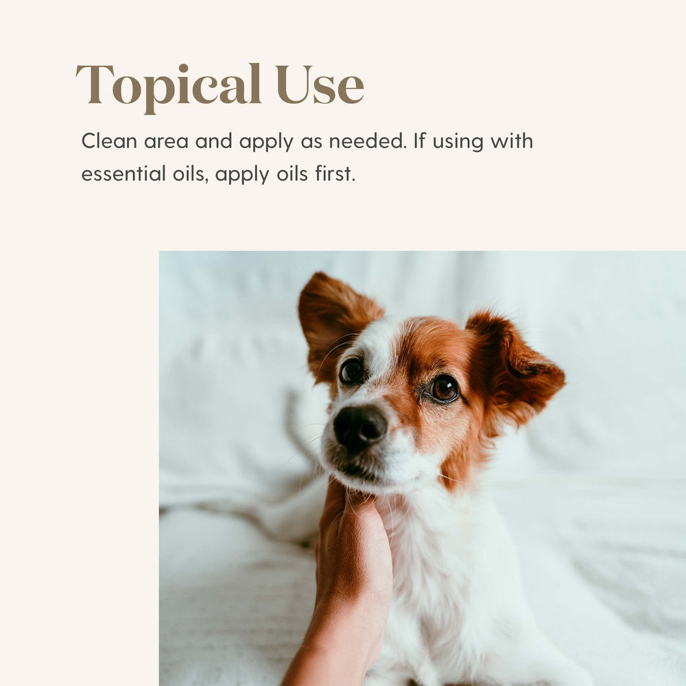 Ointment applied near pet nose for daily skin care and protection.
