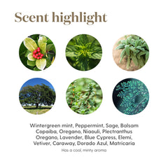Close-up of botanical ingredients in the Cool Azul blend.