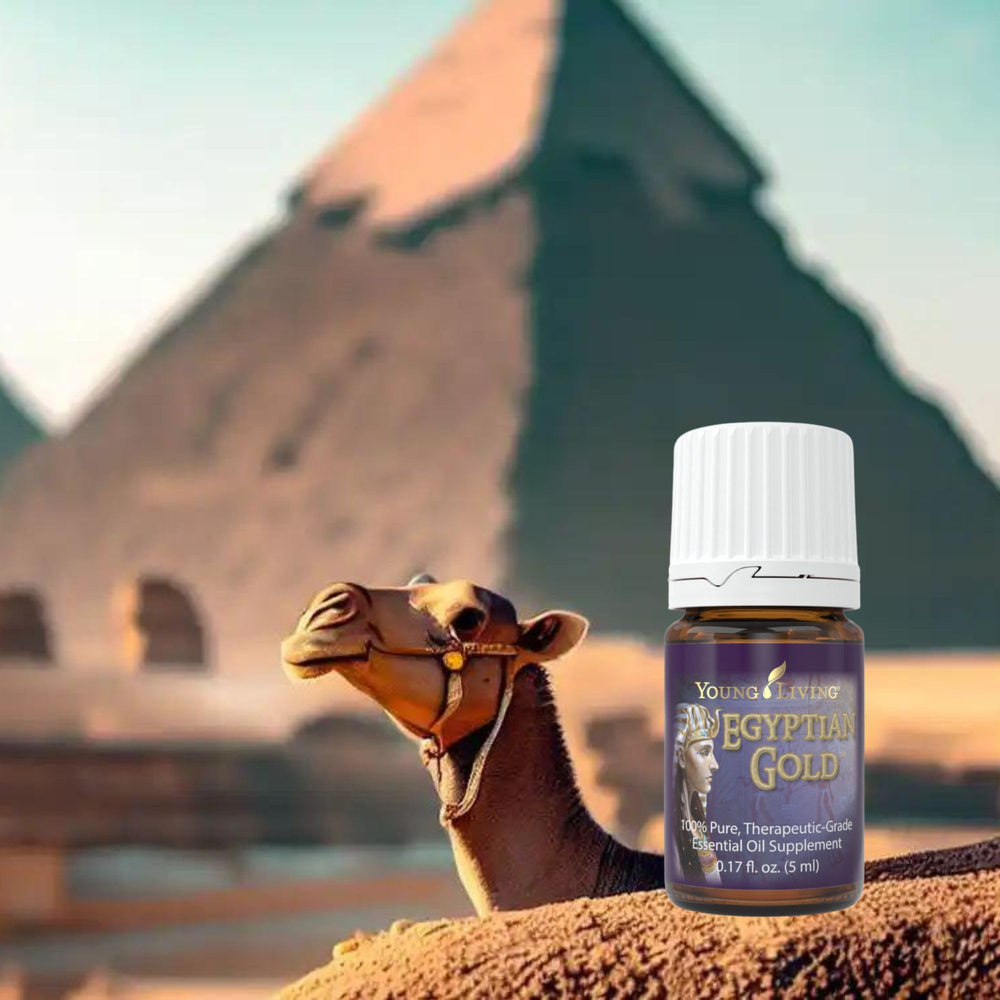 Egyptian Gold essence drops captured for relaxation and focus